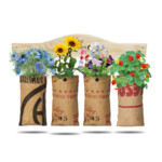 Baza Hangtuintjes Set Bloemen - 16.99 euro