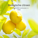 WELEDA 24h Roll-On Deodorant Citrus - 7.09 euro