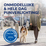 Dr. Scholl's Blarenpleister Mixed - 4.49 euro
