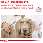Royal Canin Anallergenic Small Dogs Hondenvoer