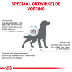 2x Royal Canin Hondenvoer Droog Anallergenic 8 kg