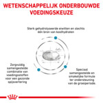 Royal Canin Hondenvoer Droog Hypoallergenic Puppy 14 kg