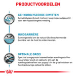 Royal Canin Hondenvoer Droog Hypoallergenic Puppy 14 kg