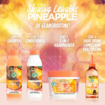 Garnier Fructis Pineapple Hair Food Conditioner - 8.49 euro