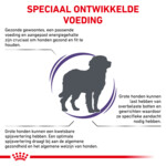 Royal Canin Hondenvoer Droog Adult Large 4 kg
