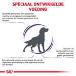 Royal Canin Hondenvoer Droog Expert Adult Medium 10 kg