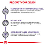 Royal Canin Adult Small Dogs Hondenvoer 2 kg