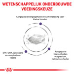 Royal Canin Hondenvoer Droog Adult Small 8 kg