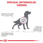 12x Royal Canin Hondenvoer Nat Cardiac 410 gr