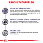 Royal Canin Hondenvoer Droog Mature Consult Large 14 kg