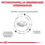 Royal Canin Hondenvoer Droog Mature Consult Medium 10 kg