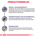 Royal Canin Hondenvoer Droog Mature Consult Small 8 kg