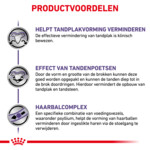 Royal Canin Kattenvoer Droog Dental 1,5 kg