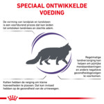 Royal Canin Kattenvoer Droog Dental 1,5 kg