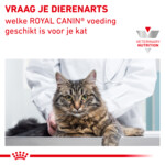 Royal Canin Diabetic Kattenvoer Droog 1,5 kg