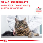 Royal Canin Kattenvoer Droog Early Renal 400 gr