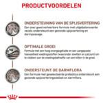 Royal Canin Gastrointestinal Kitten Kattenvoer 400 gr