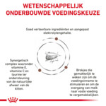 Royal Canin Gastrointestinal Kitten Kattenvoer 400 gr