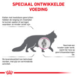 Royal Canin Kattenvoer Droog Mobility 2 kg