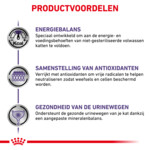 Royal Canin Kattenvoer Droog Expert Adult 8 kg