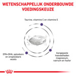 Royal Canin Kattenvoer Droog Expert Adult 8 kg