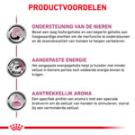 Royal Canin Hondenvoer Droog Renal Special 2 kg