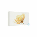Rituals Geschenkset S The Ritual of Mehr - 25.95 euro