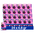24x Labello Lippenbalsem Blister Blackberry Shine - 74.99 euro