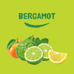 Happy Earth 100% Natuurlijke Deodorant Crème Bergamot - 7.99 euro