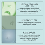 Nioxin Scalp Recovery Kit - 49.99 euro