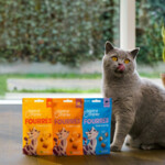 Edgard & Cooper Adult Pillows Kattensnack Kalkoen 60 gr