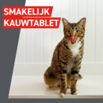 Frontcontrol Wormer Ontworming Tabletten Kat 2 tabletten
