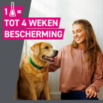 2x Frontline Tri-Act Anti Vlooien en Teken Druppels XL - 61.44 euro