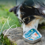 12x Yarrah Bio Alu Paté Grainfree Hondenvoer Nat Kip & Eend 150 gr
