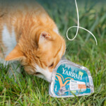 16x Yarrah Bio Alu Paté Grainfree Kattenvoer Nat Kip & Eend 100 gr