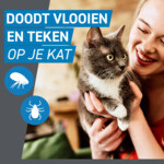 Frontline Spot On Anti Vlooien en Teken Druppels Kat vanaf 1 kg 3 pipetten