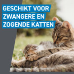 Frontline Spot On Anti Vlooien en Teken Druppels Kat vanaf 1 kg 3 pipetten