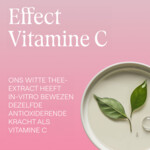 WELEDA Wilde Rozen & Witte Thee Vitaliserende Nachtcrème - 17.99 euro