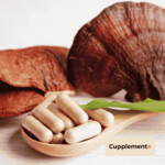2x Cupplement Reishi Organic Supplements - 11.76 euro