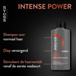Syoss Men Power Shampoo - 4.75 euro