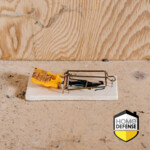 24x Home Defense Muizenvallen Hout - 53.57 euro