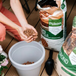 Pokon Hydrokorrels - 11.45 euro