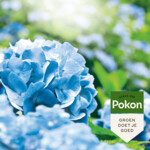 Pokon Hortensia Blauwmaker - 10.4 euro