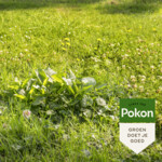 3x Pokon Onkruid Weg - 151.08 euro