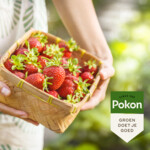 Pokon Bio Kleinfruit Mest - 11.59 euro
