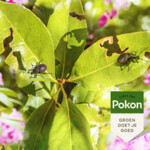 Pokon Bio Tegen Insecten en Kevers - 16.85 euro