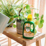 Pokon Bio Kamerplanten Voeding - 8.29 euro