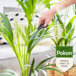 Pokon Bio Palm Voeding - 4.45 euro