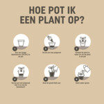 Pokon Bio Turfvrij Potgrond - 7.59 euro