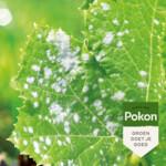 6x Pokon Tegen Schimmels Concentraat - 53.49 euro